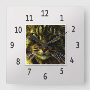 Katzenaugen Hypnotisierung Silver Gerahmtes Foto Quadratische Wanduhr