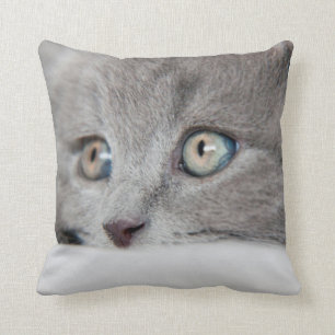 Katzenaugen Kissen