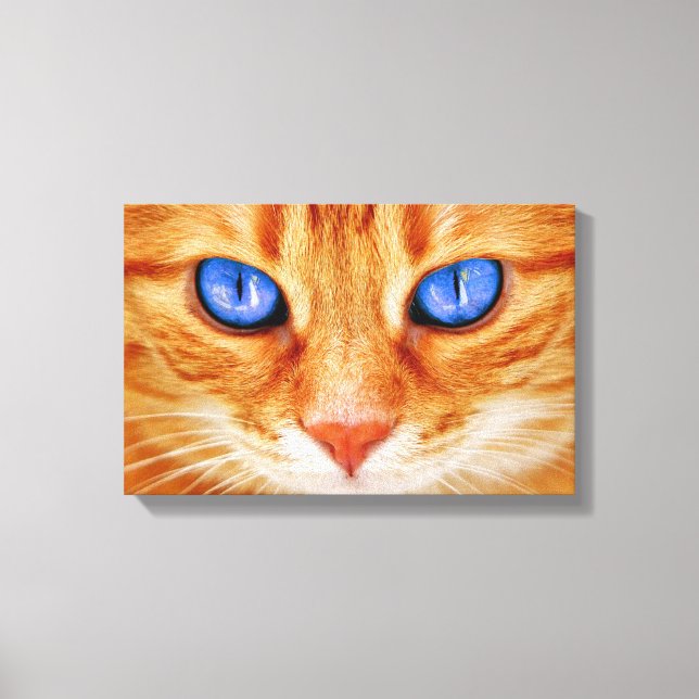 Katzenaugen Tiger Makrele Rote Katze Leinwanddruck (Vorderseite)