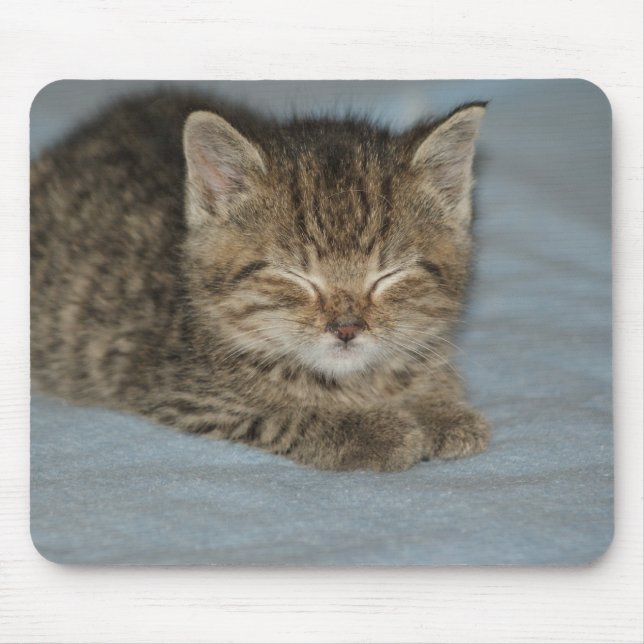 Katzenbaby Mousepad (Vorne)