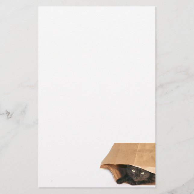 Katzenbeutel Briefpapier (Vorderseite)