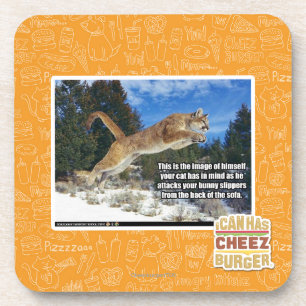 Katzenbild Getränkeuntersetzer