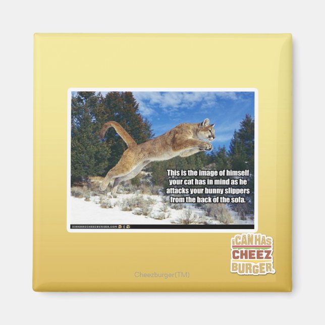 Katzenbild Magnet (Vorne)