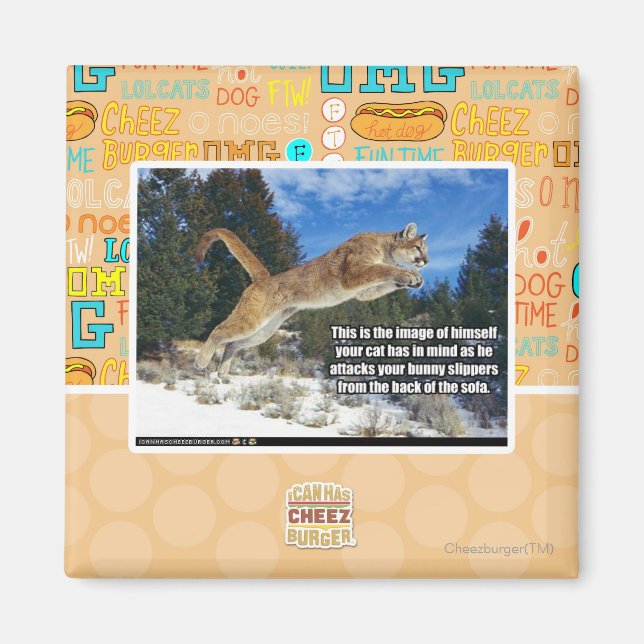 Katzenbild Magnet (Vorne)