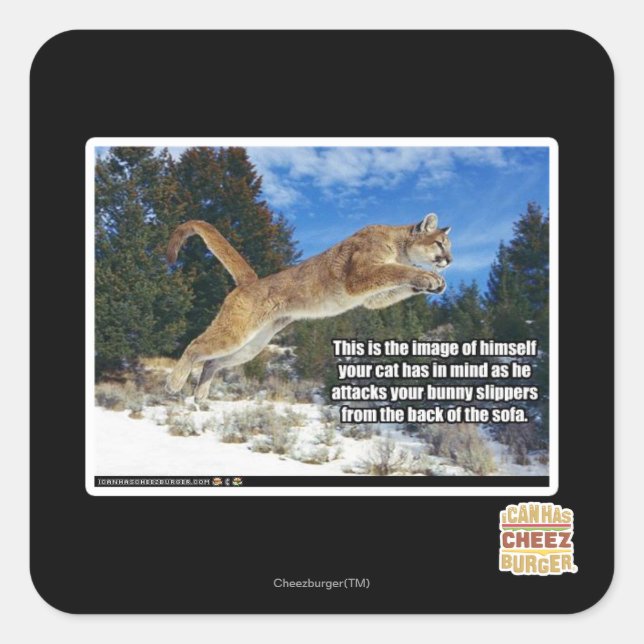 Katzenbild Quadratischer Aufkleber (Vorderseite)