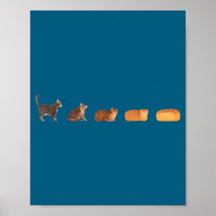 Katzenbrotlaib-Evolution lustige Katzenmutter süße Poster