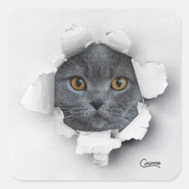 Katzenfalle - Aufkleber für den Umschlag