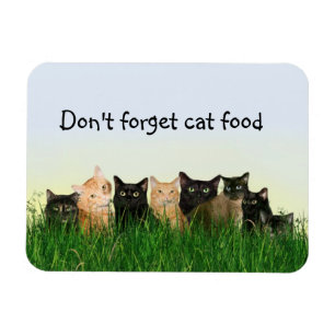 Katzenfamilie Magnet