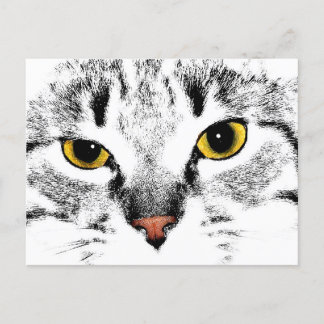 Katzenfläche nah postkarte