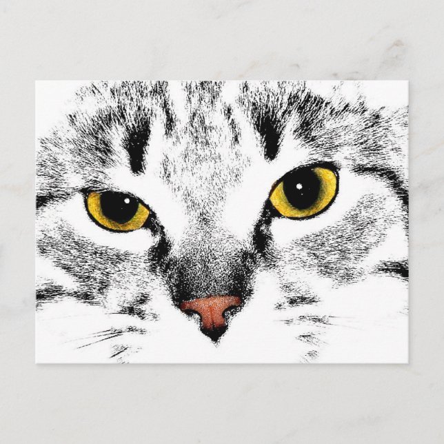 Katzenfläche nah postkarte (Vorderseite)