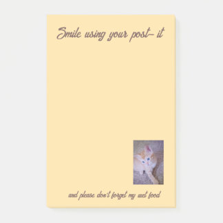 Katzenfoto Humor Text Notizen