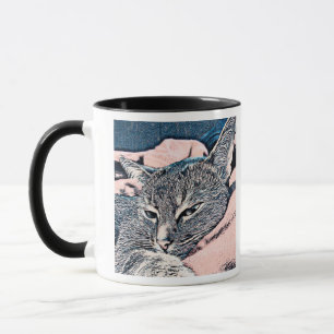 Katzenfoto, Katze, Haustiere, lustige Katze, Paste Tasse