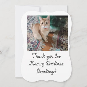 Katzenfoto-Text anpassen Grußkarte Weihnachten