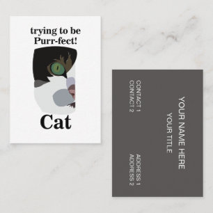 Katzenfriseur Tierarzt Haustier Visitenkarte