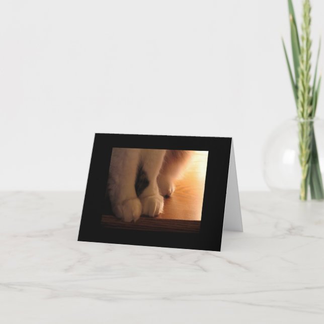 Katzenfüße Karte (Vorderseite)