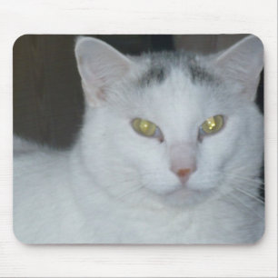 Katzengedanken Weiße Katze Mousepad