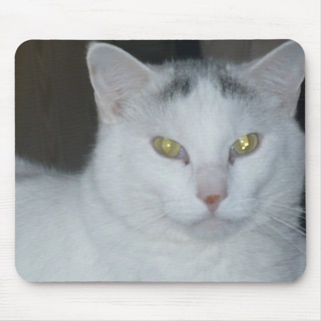 Katzengedanken Weiße Katze Mousepad (Vorne)