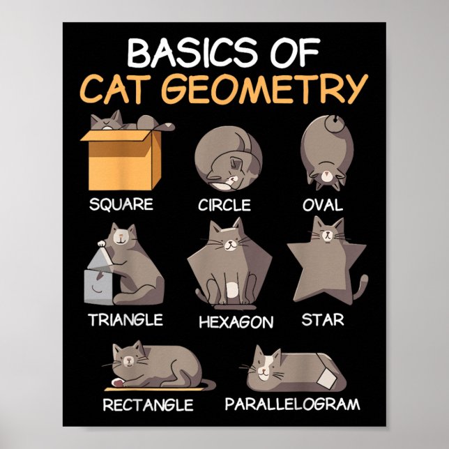 Katzengeometrie Math Funny Cat Geschenke für Katze Poster (Vorne)