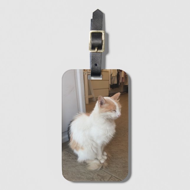 Katzengepäcketikett Gepäckanhänger (Vorderseite Vertikal)