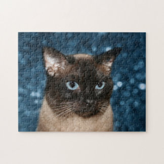 Katzengesicht
