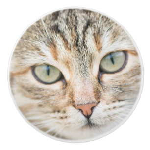 Katzengesicht Keramikknauf