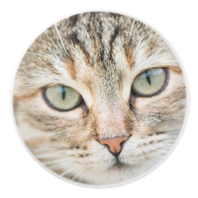 Katzengesicht Keramikknauf (Vorderseite)