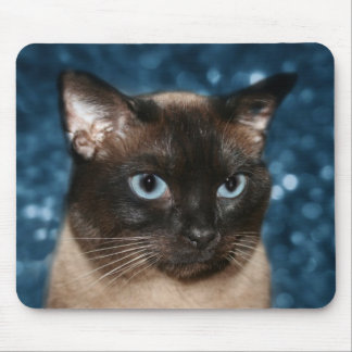 Katzengesicht Mousepad