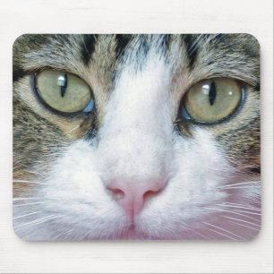 Katzengesicht Mousepad