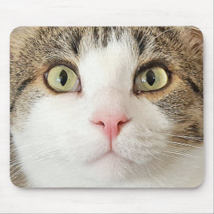 Katzengesicht Mousepad
