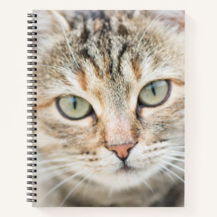 Katzengesicht Notizbuch