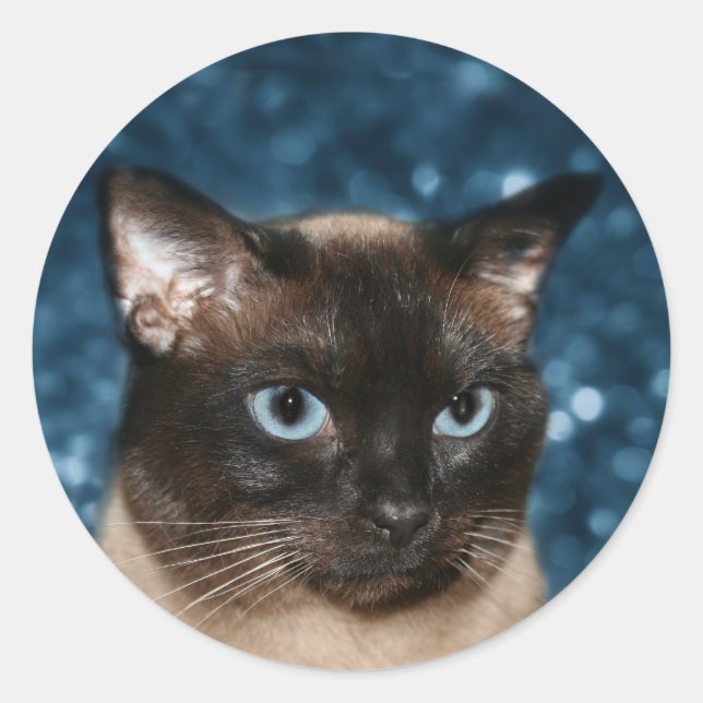 Katzengesicht Runder Aufkleber (Vorderseite)