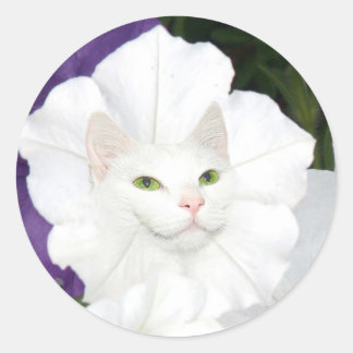 Katzengesicht von Petunia Runder Aufkleber