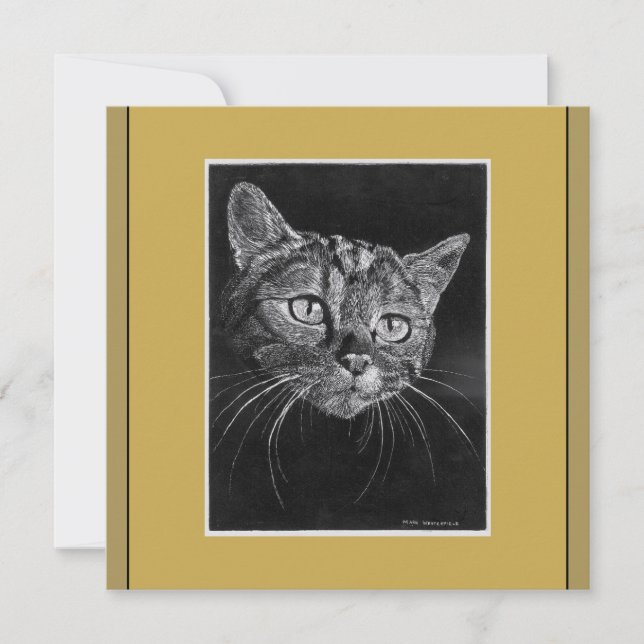 Katzengesicht Zeichnend durch Mark Edward Westerfi (Vorderseite)