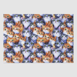 Katzengesichter Ingwer graue Kätzchen Seidenpapier