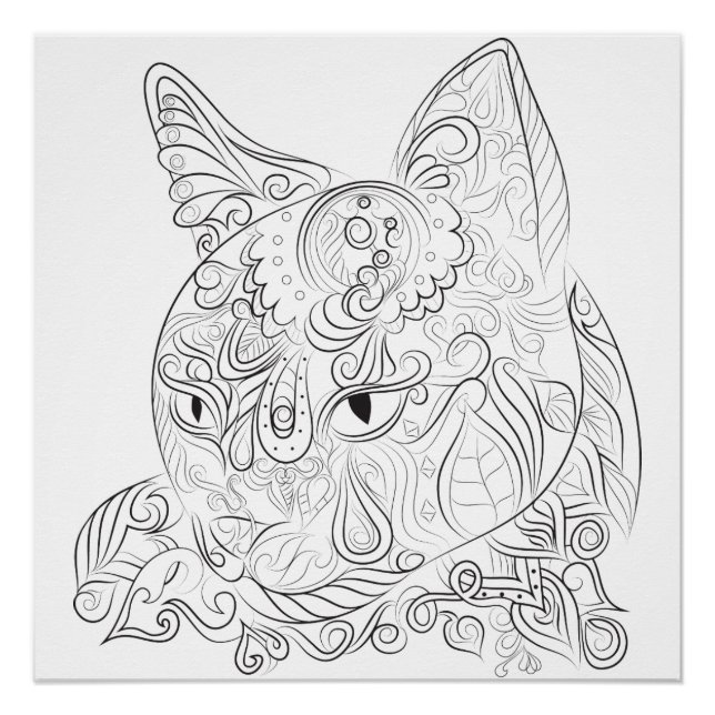 Katzengestaltung: Farbplakat Poster (Vorderseite)