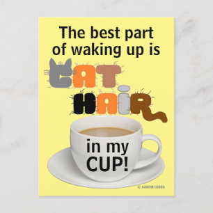 Katzenhaare in meiner Tasse! Humorvolle Katzenlieb Postkarte