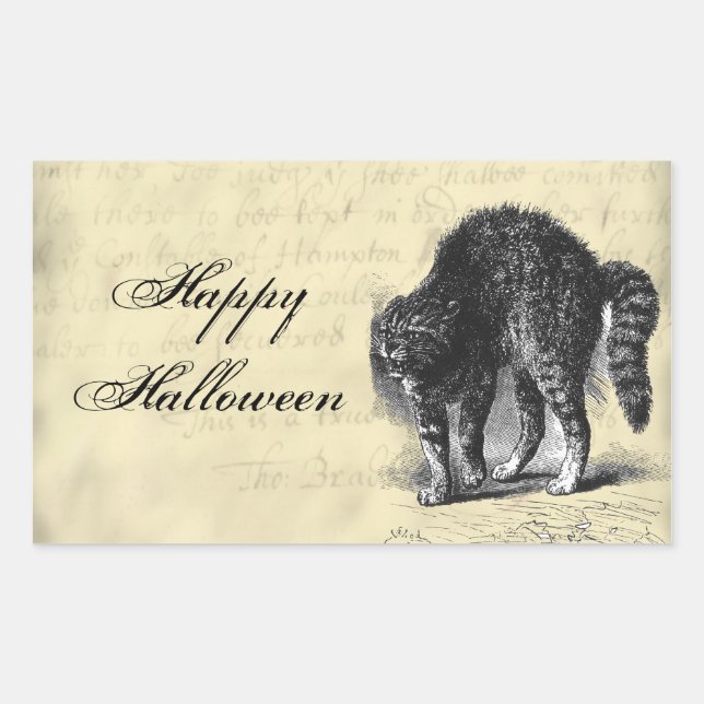 KatzenHalloween Rechteckiger Aufkleber (Vorderseite)