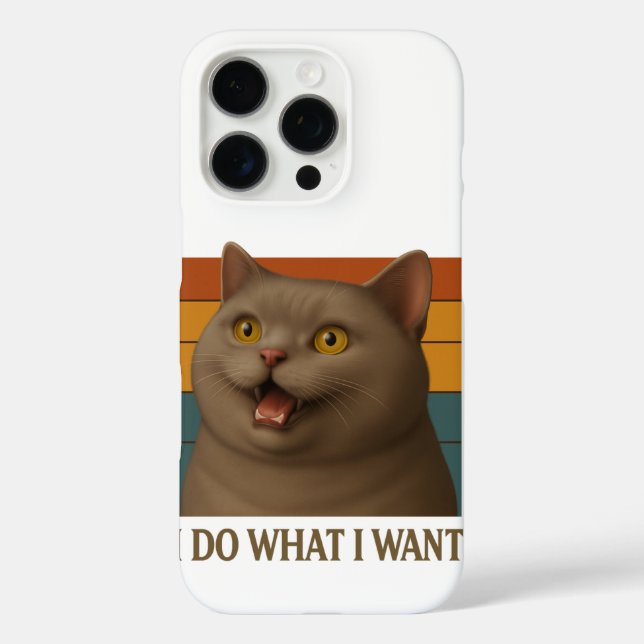 Katzenhöhe iPhone 16 Pro Hülle (Rückseite)