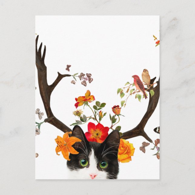 Katzenhörner Postkarte (Vorderseite)