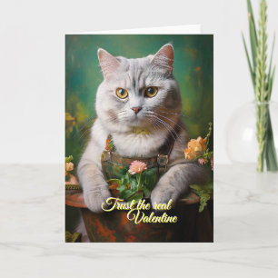 Katzenillustration Feiertagskarte