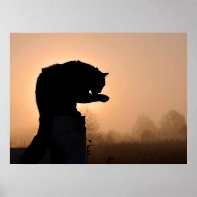 Katzenjammer Poster (Vorne)