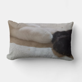 Katzenjunge Lendenkissen