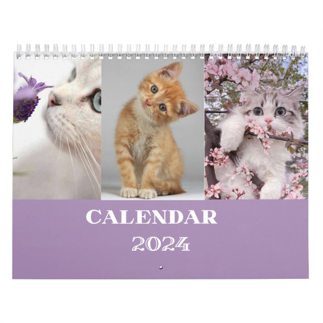 Katzenkalender 2024 - moderner Schnittkalender Kalender (Titelbild)