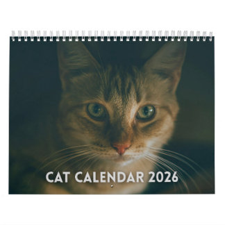 Katzenkalender 2026 kalender