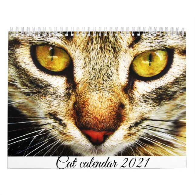 Katzenkalender für 2021 kalender (Titelbild)