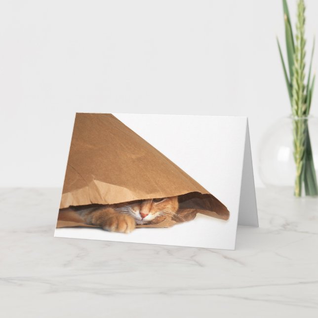 Katzenkarte aus braunem Papierbeutel Karte (Vorderseite)