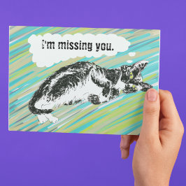 Katzenkarte schwarz-weiß postkarte