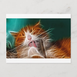 Katzenkätzchen Kätzchen niedliche Haustierzucht Postkarte