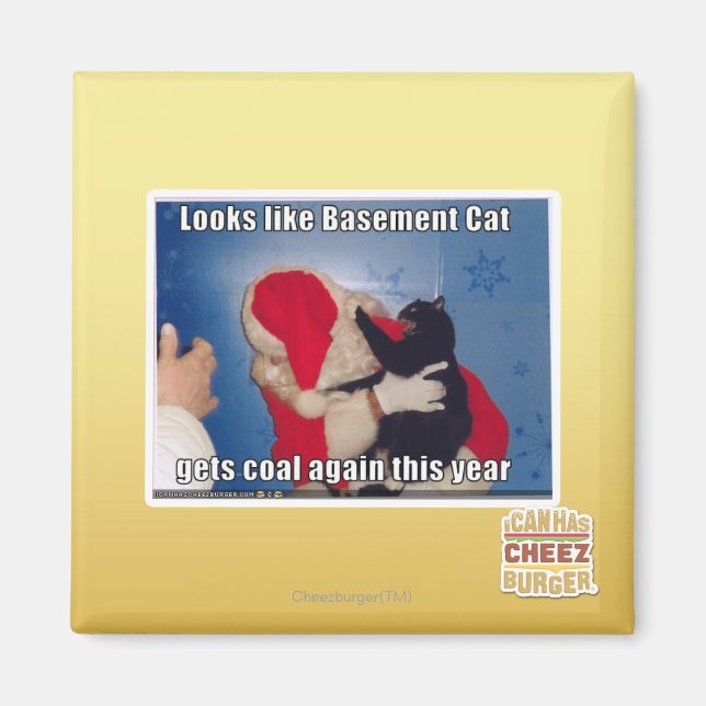 Katzenkatze erhält Kohle Magnet (Vorne)