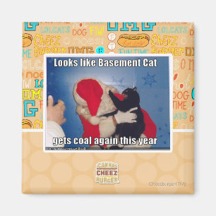 Katzenkatze erhält Kohle Magnet